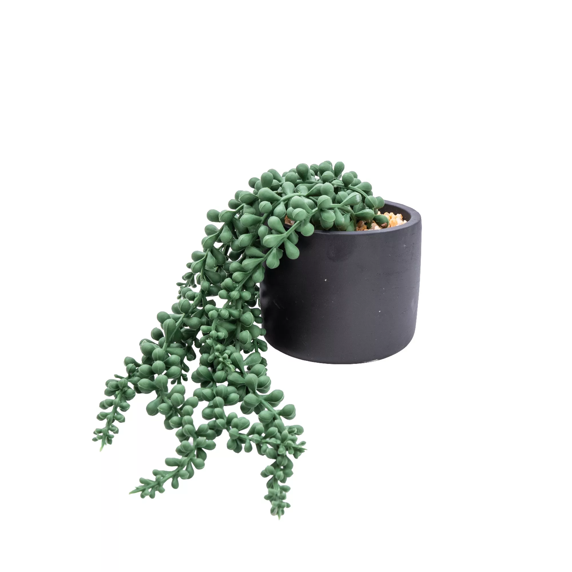 12cm String Of Pearls Artificial Plant In Black Ceramic Pot - Image 2