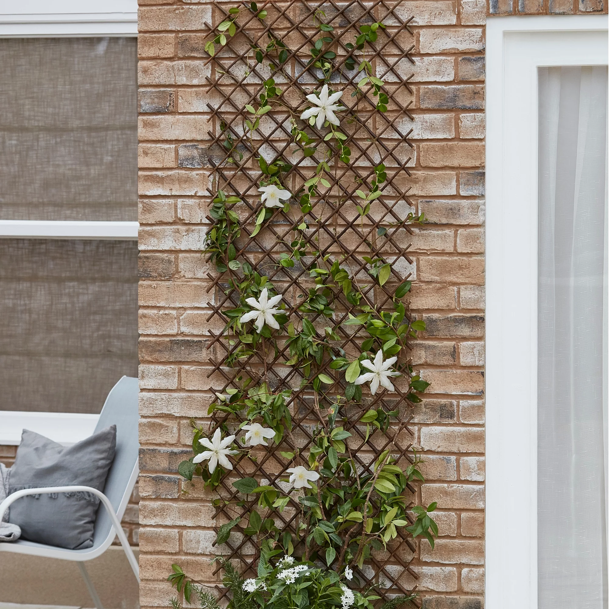 Blooma 2ft Willow Trellis Panel (W)180cm X (H)60cm - Image 4