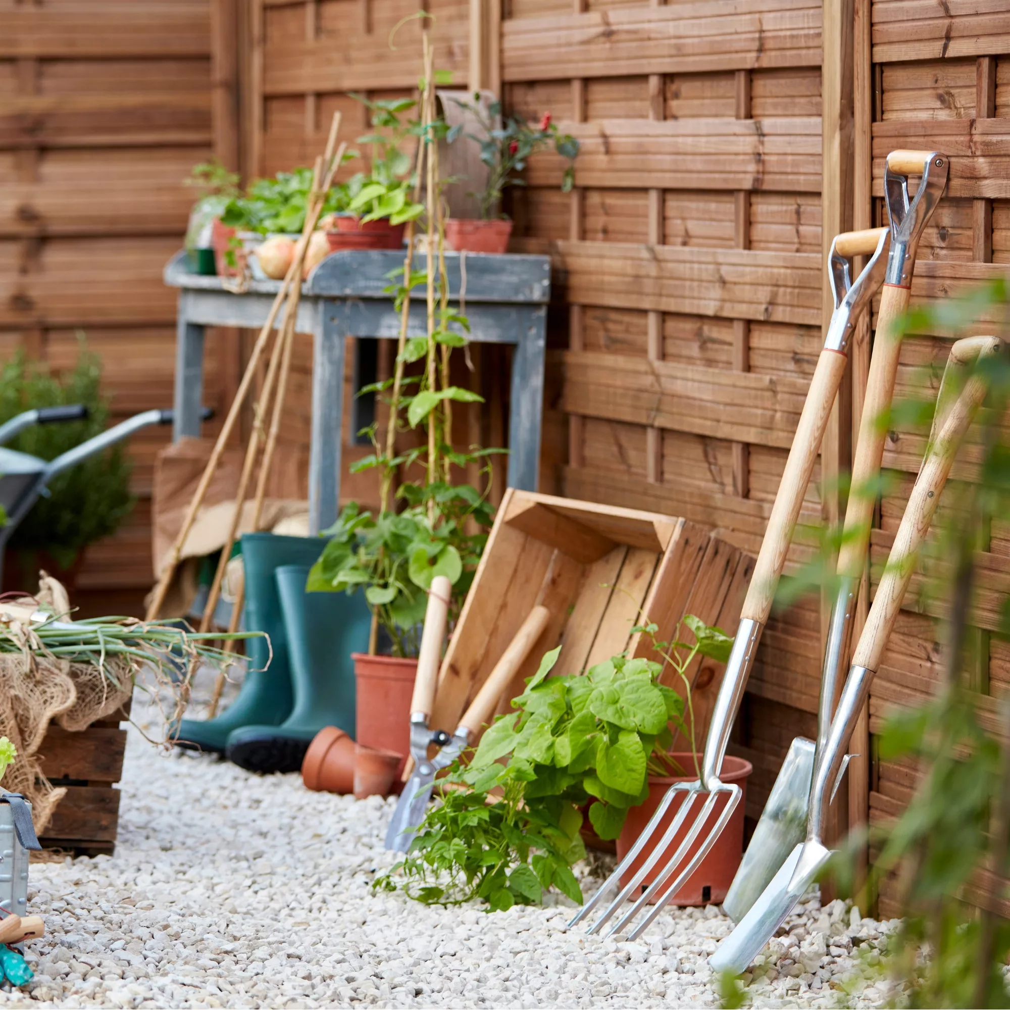 Blooma Douro Pine Gate, (H)1.8m (W)0.9m - Image 2