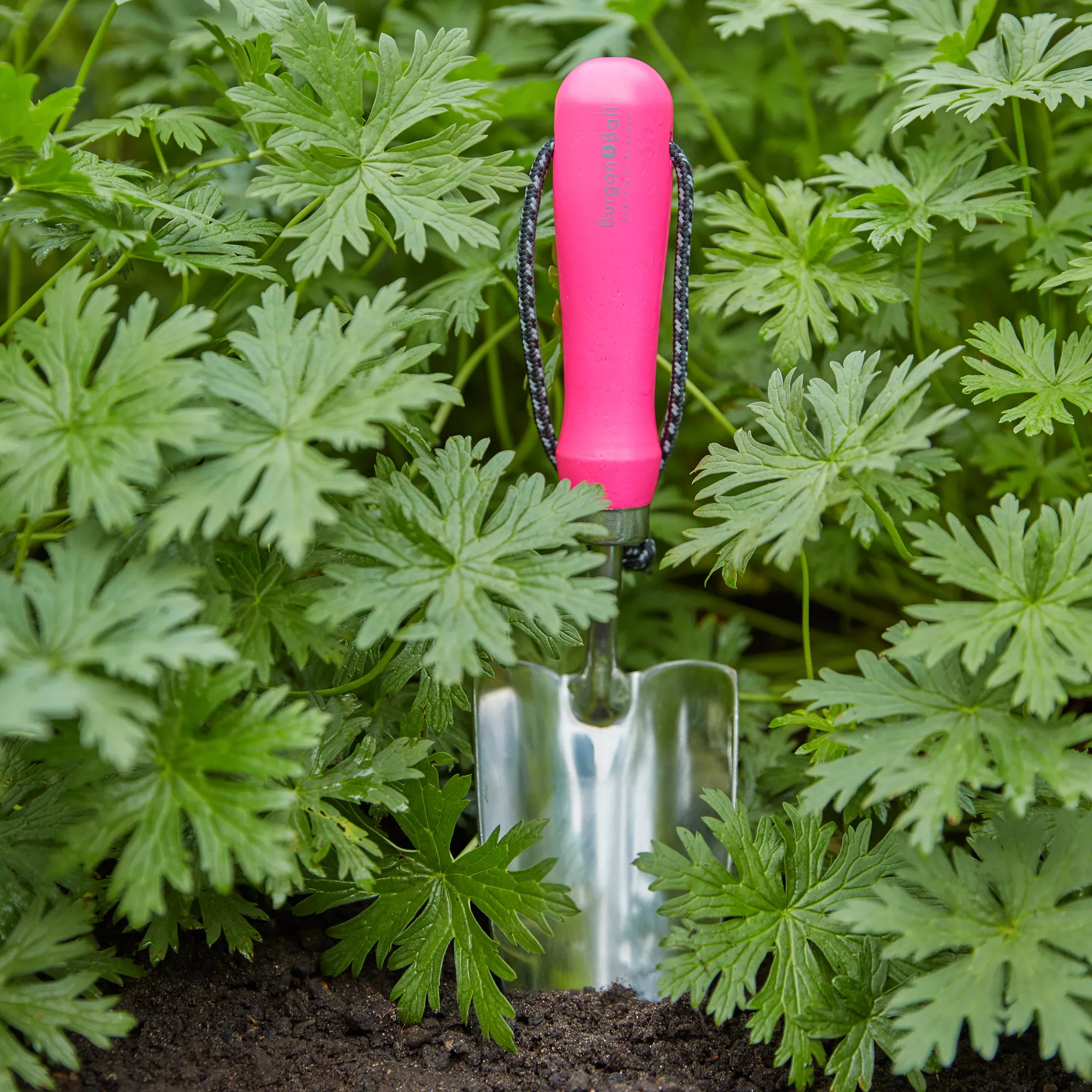 Burgon & Ball Flora Brite Pink Trowel - Image 4