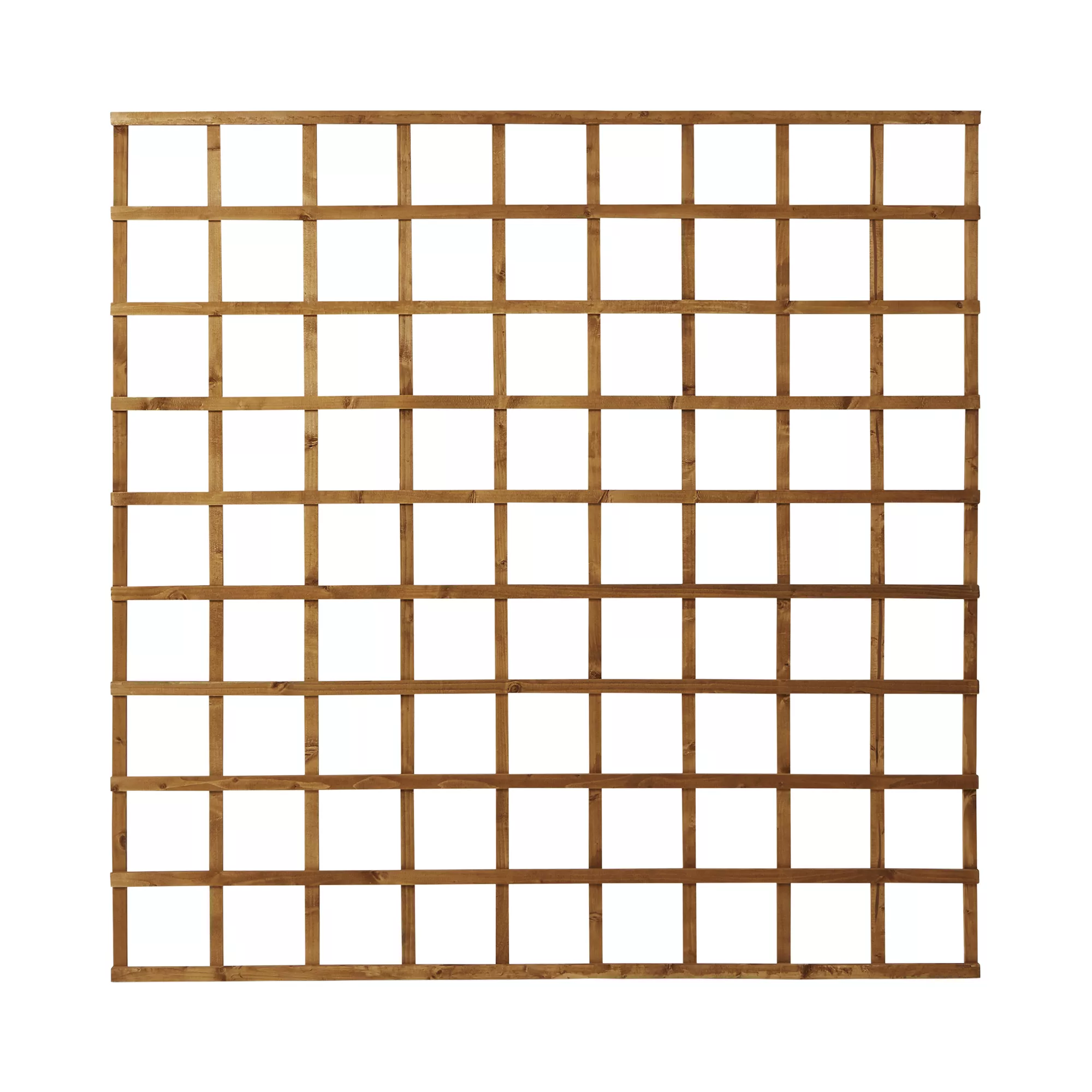 Forest Garden 6ft Square European Softwood Trellis Panel (W)183cm X (H)183cm