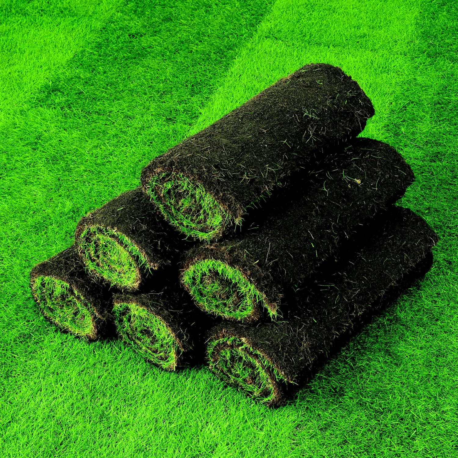 Lawn Turf, 17m² Pack - Image 6