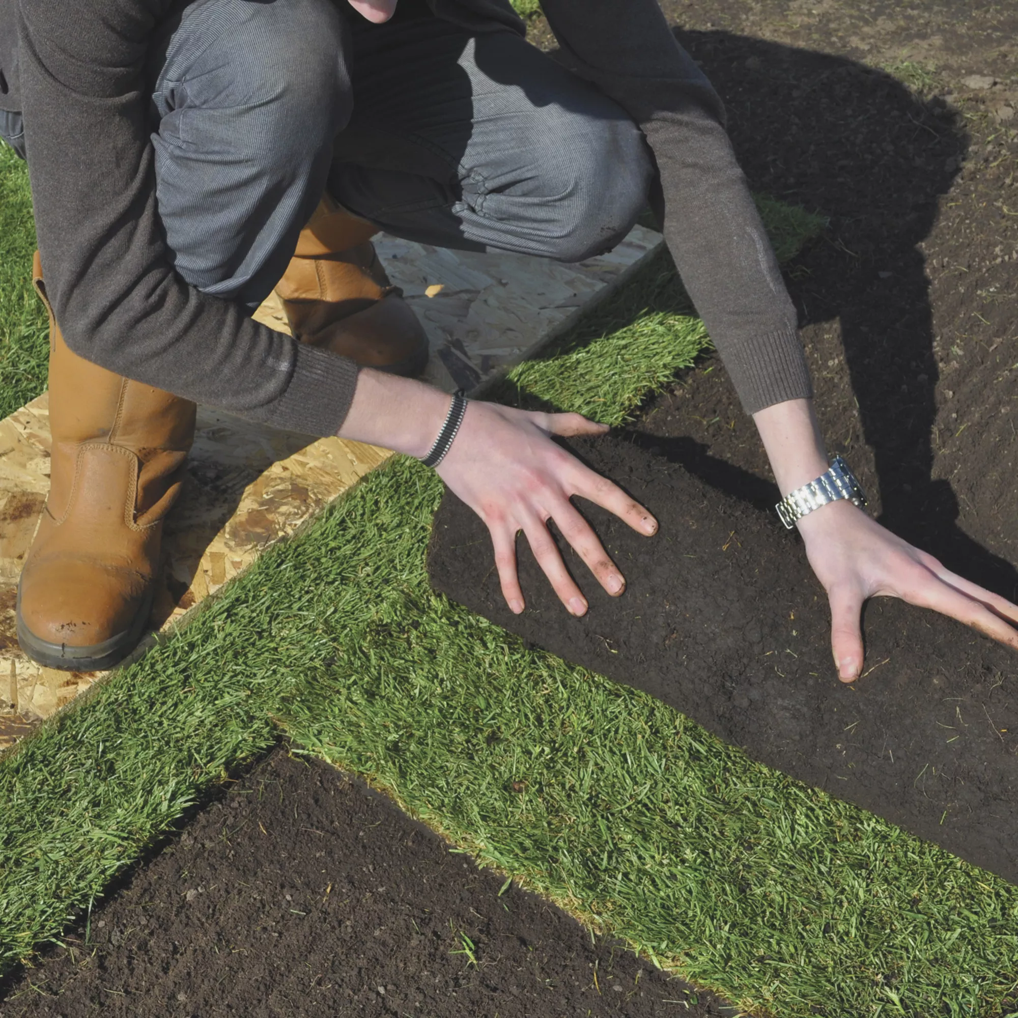 Lawn Turf, 25m² Pack - Image 5