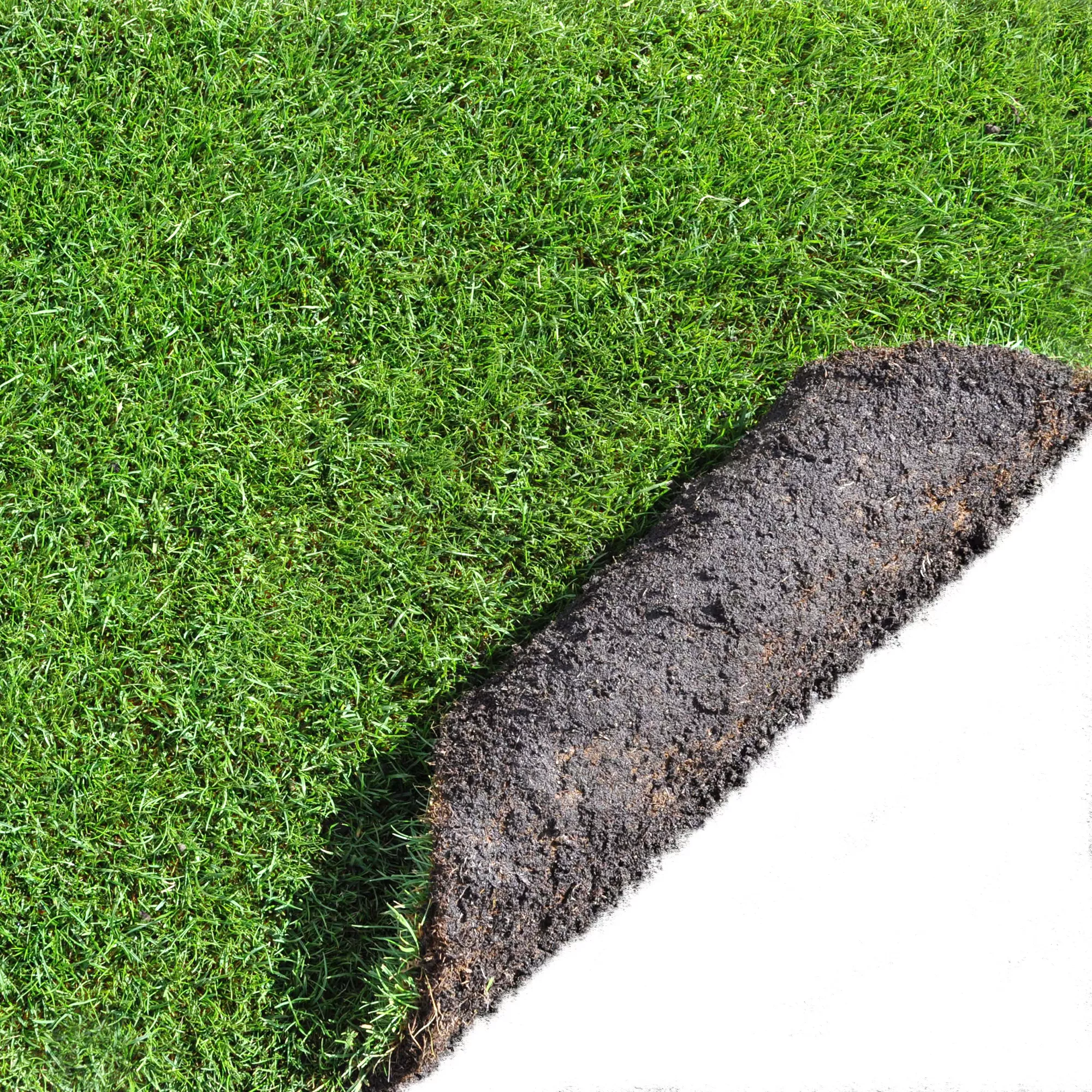 Lawn Turf, 25m² Pack - Image 2