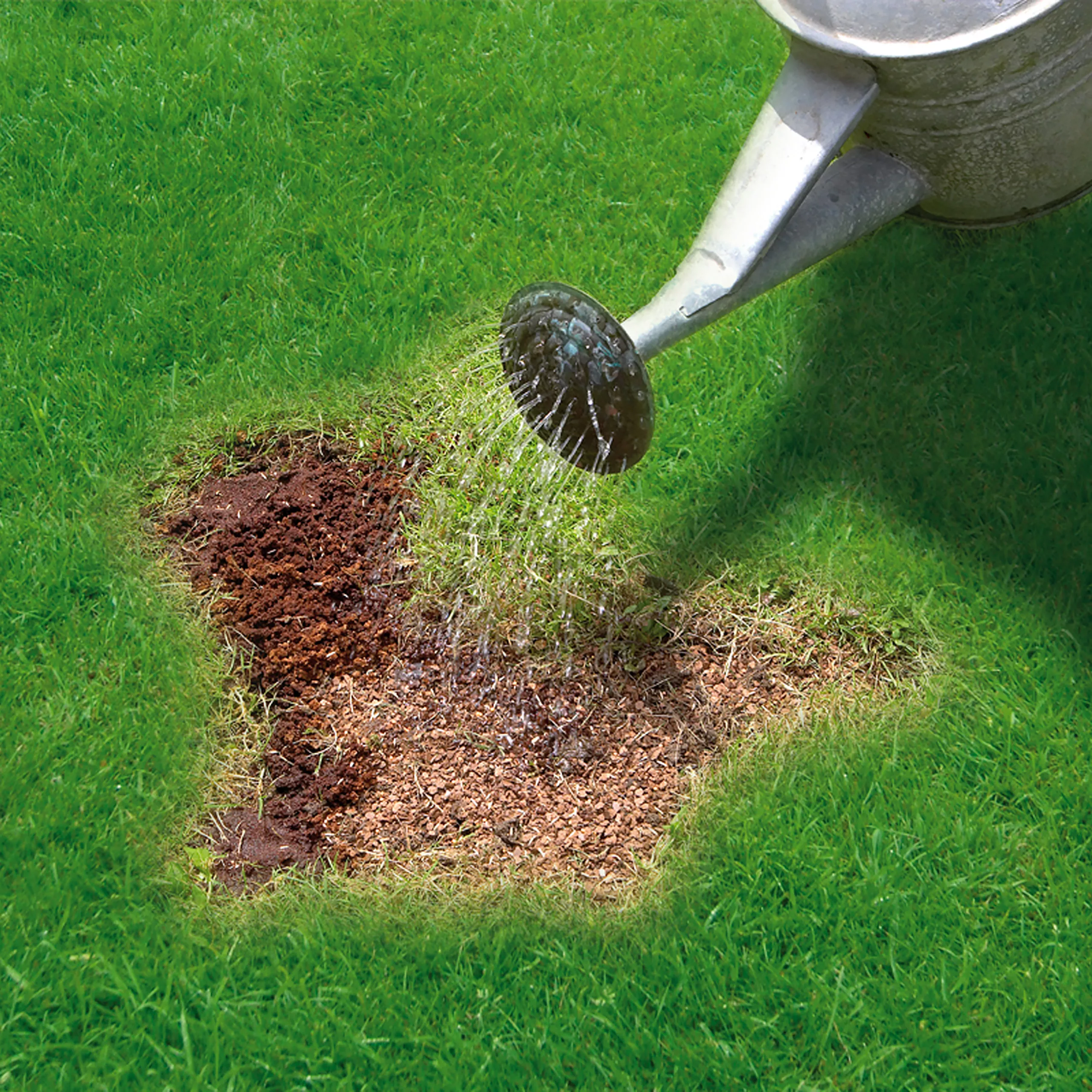 Miracle-Gro Patch Magic Lawn Patch Repairer 13m² 1L 1kg - Image 4