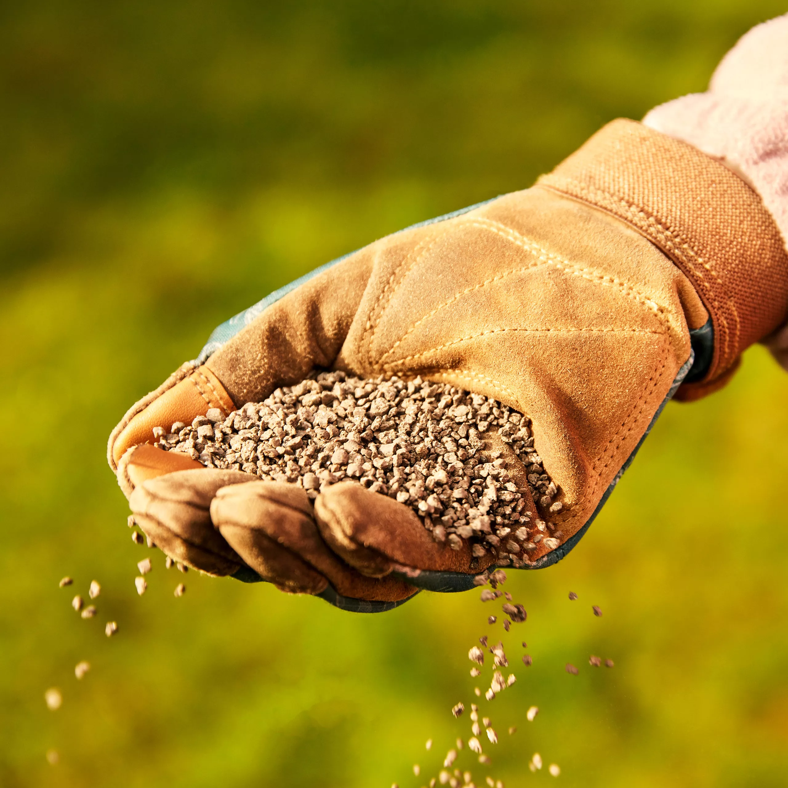 Miracle-Gro Perform Universal Plant Feed Granules 2kg - Image 3