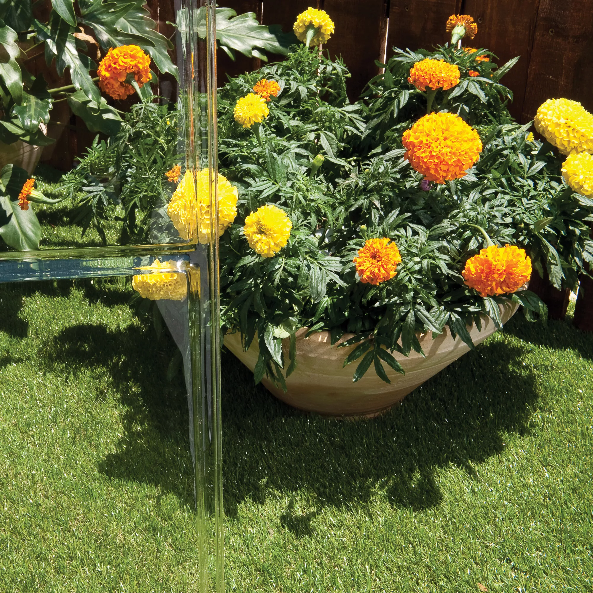 Palram - Canopia Harmony Green 6x6 Greenhouse - Image 5