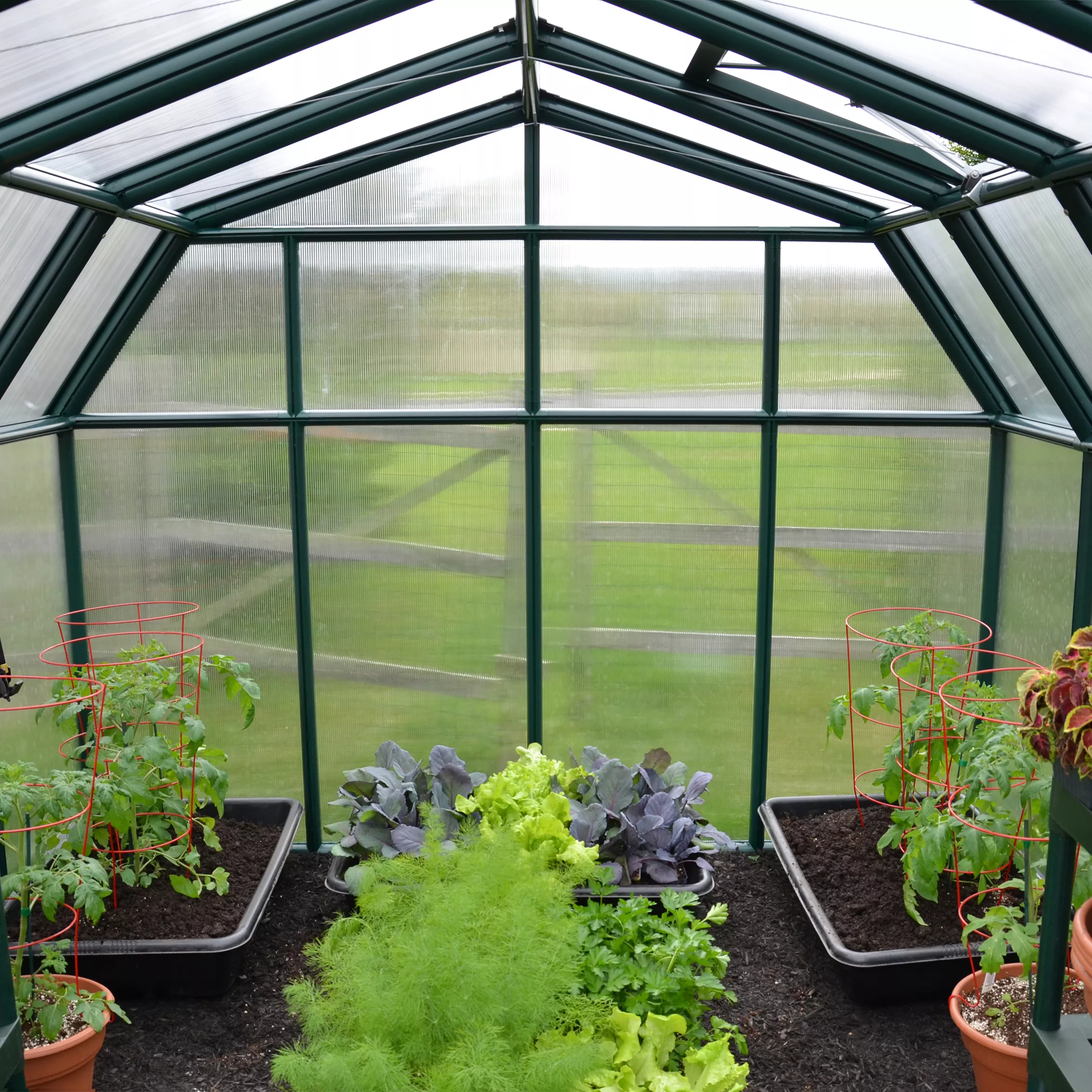 Palram - Canopia Hobby Gardner Green 8x8 Greenhouse - Image 5