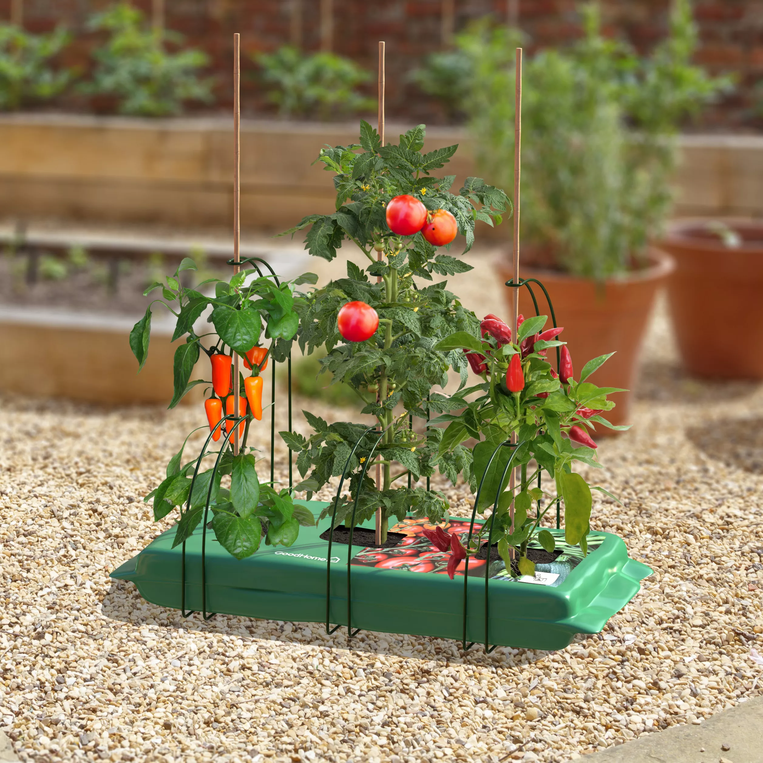 Panacea Steel Curved Plant Support Frame (L)47cm (Dia)35cm, Set Of 3 - Image 2