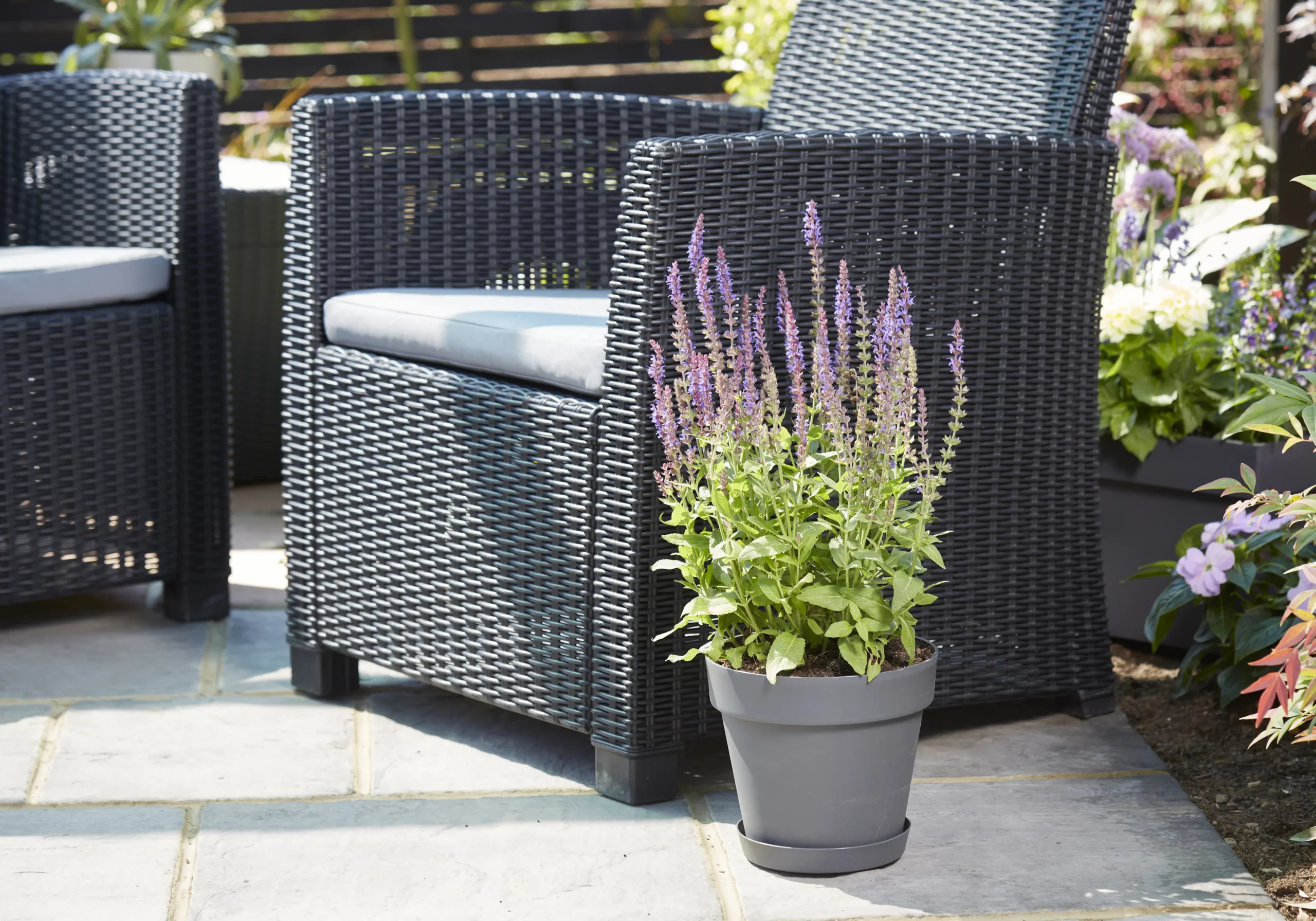 Verve Nurgul Peyote Rectangular Trough - Image 4